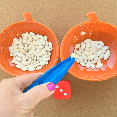 Pumpkin Seed Transfer Preschool and Kindergarten Math and Fine Motor Activity
