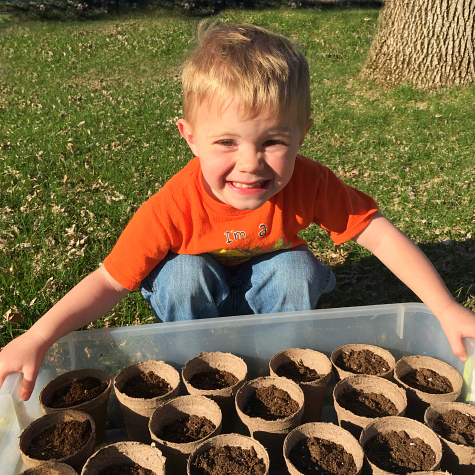 Planting Seeds With Preschoolers