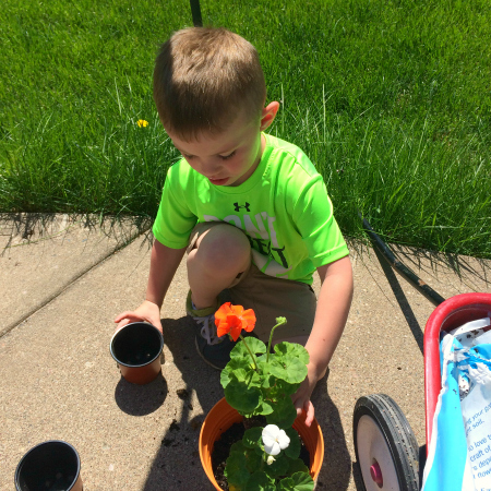 Planting Flowers For Our Garden Theme