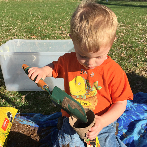 Planting Seeds With Preschoolers