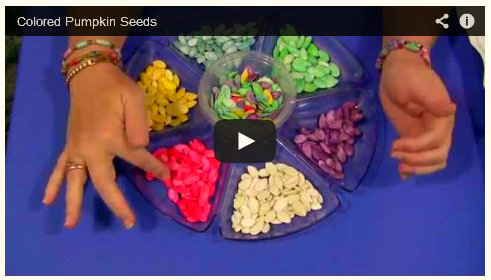 Colored Pumpkin Seeds For Preschool and Kindergarten