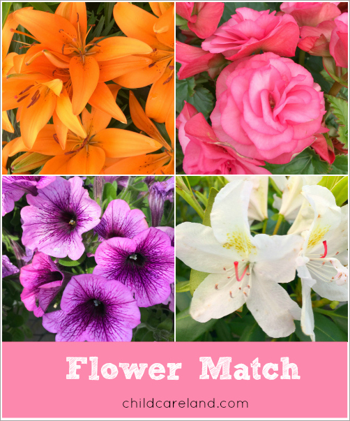flower match for preschool and kindergarten