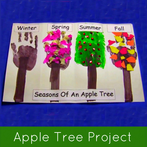 Seasons Of An Apple Tree Preschool Project
