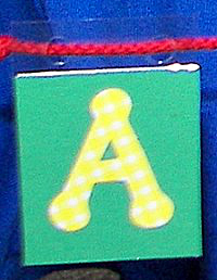 Letter and Number Lacing Tags