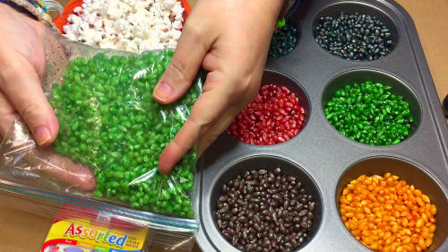 Colored Popcorn Seeds For Preschool and Kindergarten